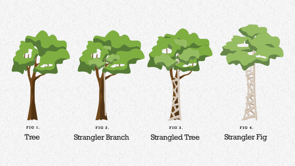 springcamp-stragler-fig-pattern